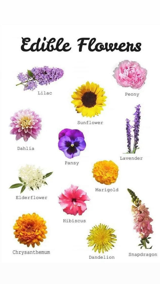 Edible Flowers