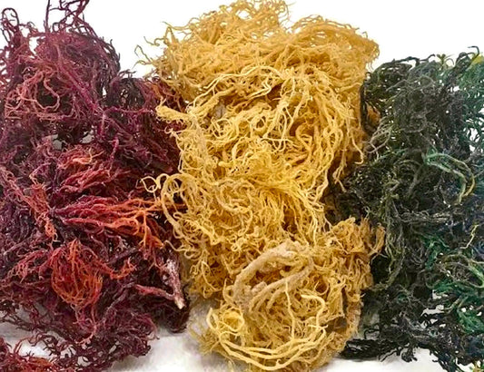 Sea Moss