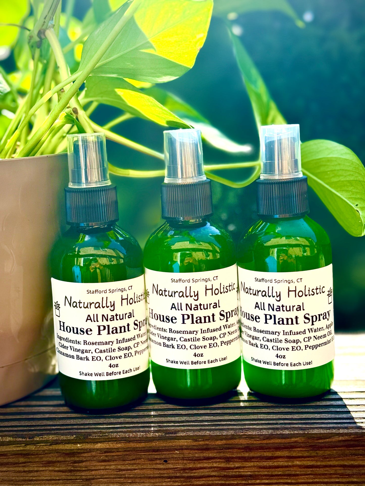 Indoor House Plant Spray