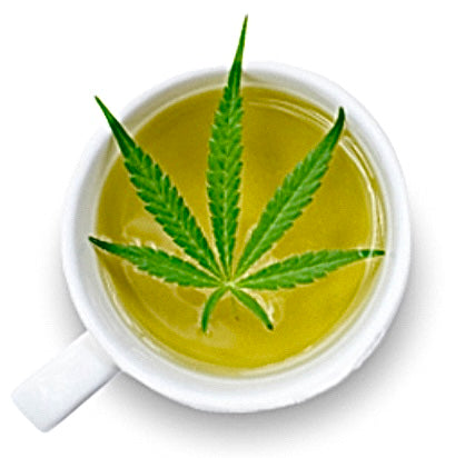 CBD Tea