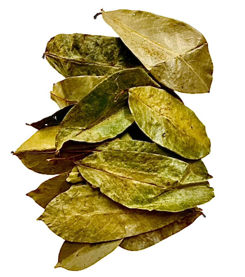 Soursop Leaf Tea