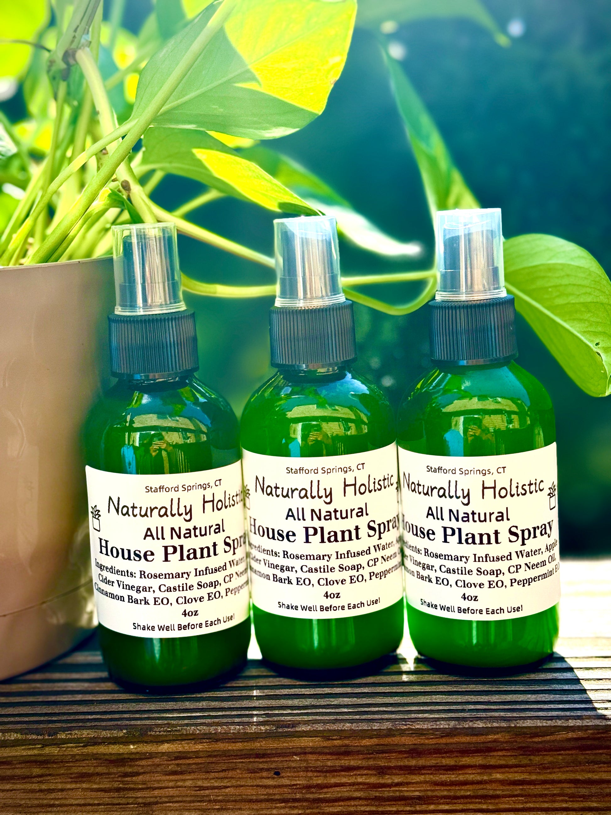 spray for indoor plants Indoor House Plant Spray – Naturally Holistic
